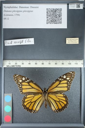 Media type: image;   Entomology 164971